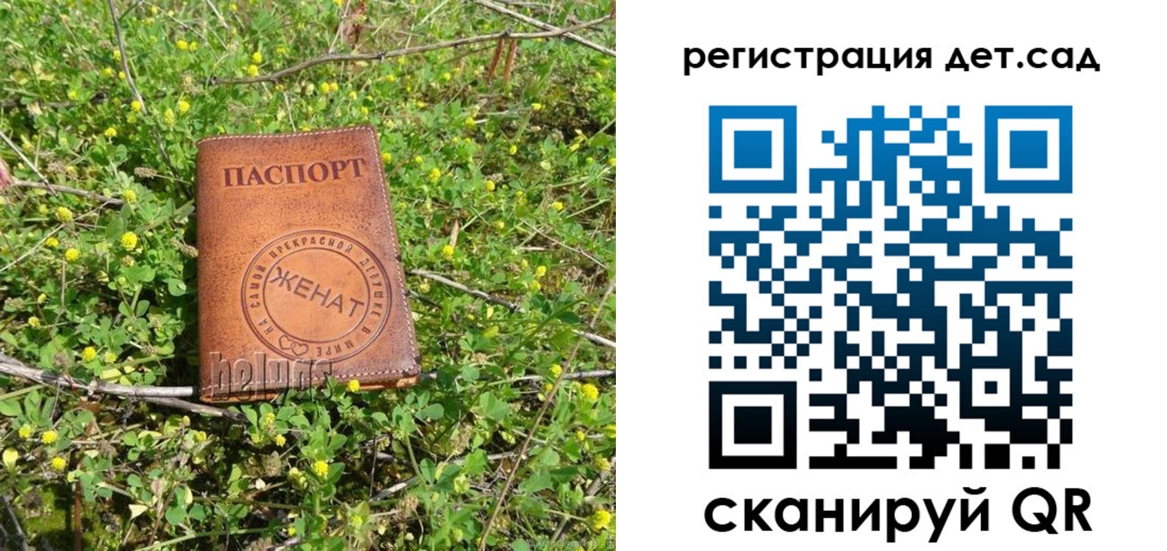 временная регистрация надежно в Острогожске